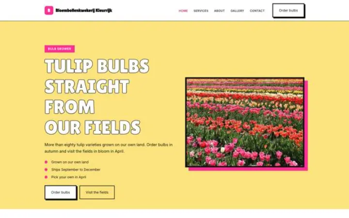 Web pro pěstování tulipánů