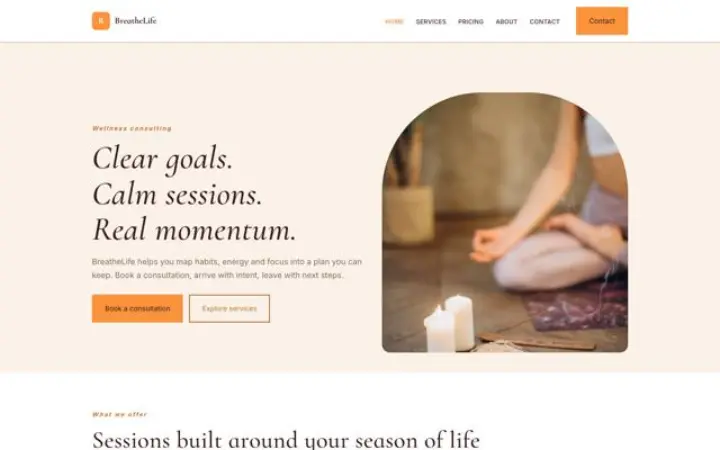 Web pro wellness poradenství